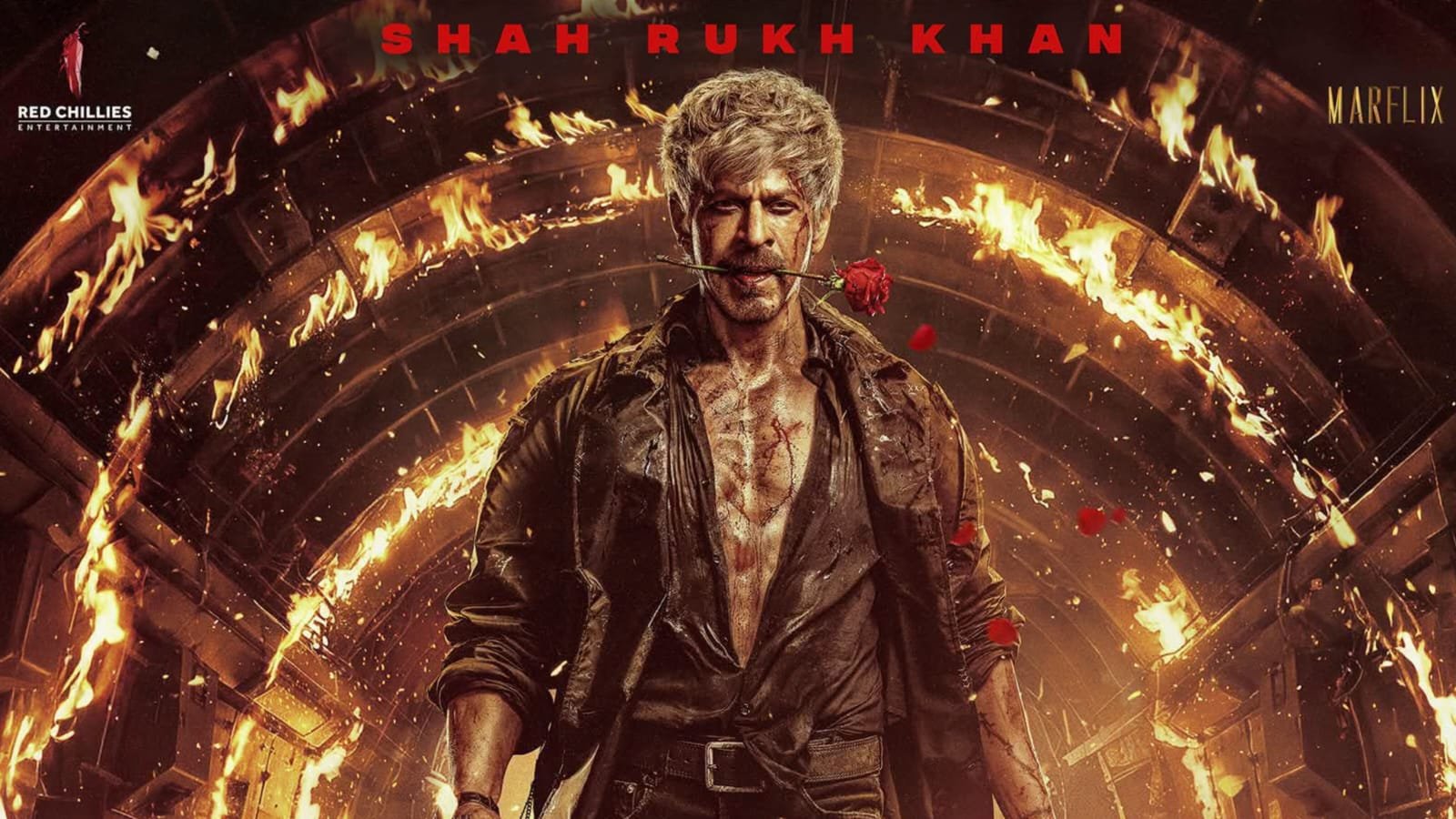 ‘কাতিল নেহি, আশিক হুঁ’! শাহরুখের এমন অবতার আগে দেখেছেন? ‘কিং’-এর পোস্টারে হইচই!